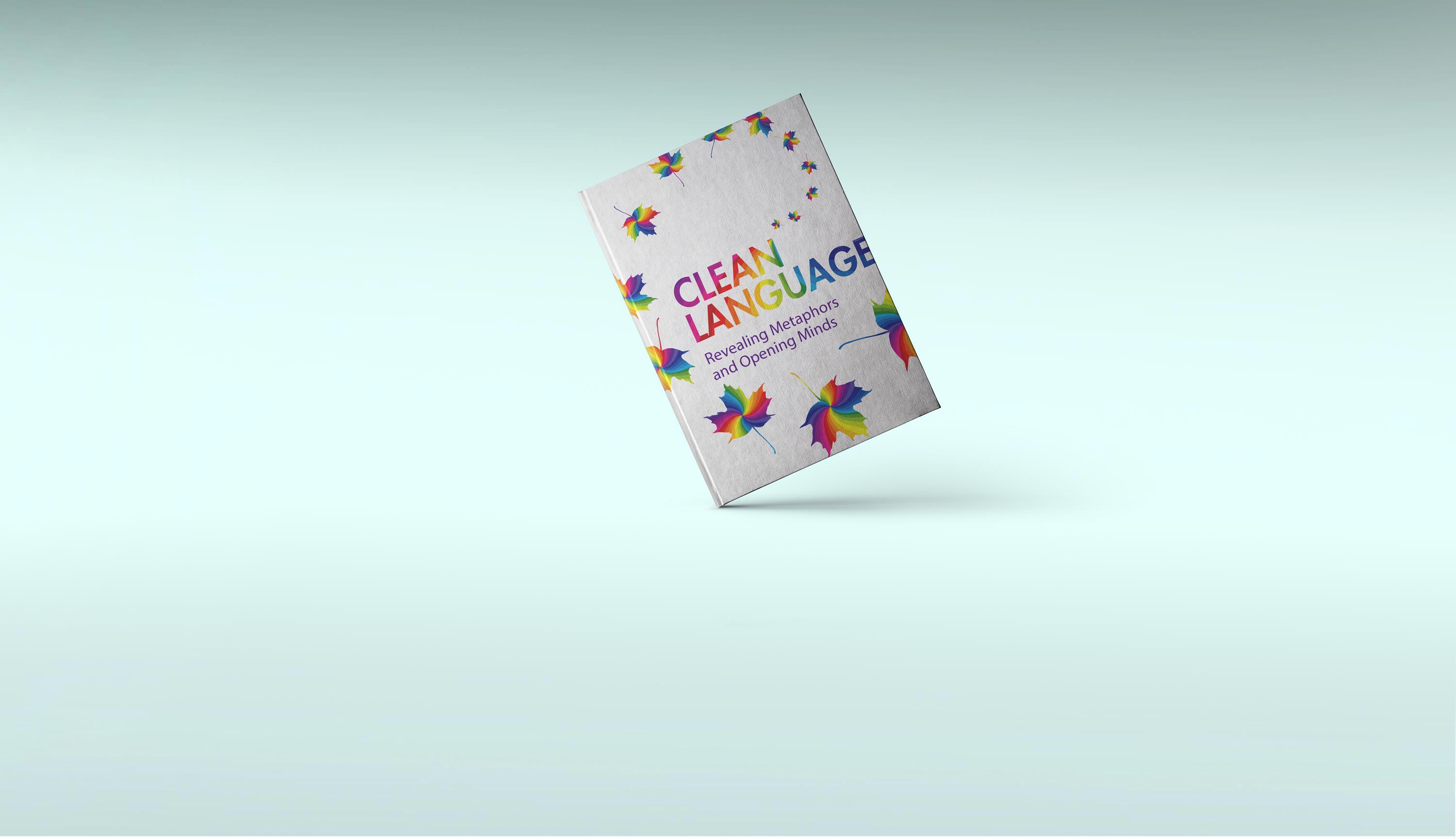 Clean Change Clean Language Training